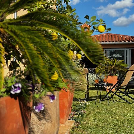 Villa Mihaela Fažana Eksteriør bilde